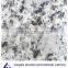 Chinese big white flower granite floor tiles from factory