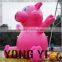 inflatable cartoon pink pig inflatable cartoon Inflatable cartoon characters Advertising inflatable cartoon