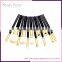 Wholesale Pro Cosmetics Lipsticks Shadows 12 Pcs Make Up Brush Kit