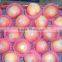 sell Fresh Apple fruit of high quality and good price