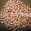Peanuts from India