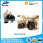 Top Quality machinery black garlic wholesale online