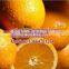 High quality Vitamin C( Ascorbic acid) 50-81-7