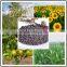 New type seaweed organic fertilzer