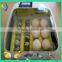 Best Quality Automatic Cheap Chicken Incubator for Sale New Product!!!