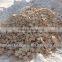Professional wood hammer mill