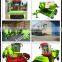 Hot Sale Baler Machine With Competitive Price