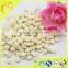 wholesale high nutrition of lyophilized royal jelly tablet of royal jelly