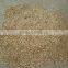hammer mill