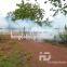 Electric fumigating fogger for pest control