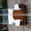 Park Quality Assured 6 Person 48V Electric Classic Retro Golf Car