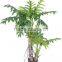 indoor Home garden decorative 100cm to 300cm Height make artificial green Philodendr live bonsai tree EXLYPZ06 0505