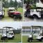 Brand new Off Road Golf Cart electric, Smart designer Off Road Golf Cart with curtis controller and aluminum alloy frame!