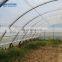 polyethylene plastic film poly cover greenhouse for agriculture