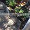 Corten Steel Planter boxes Trough on Casters