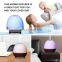 New design Personal Space air Humidifier Aroma Diffuser 1000ml for Home and Office