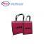 Promotional Foldable Non Woven Shopping Bag with Laminated Non Woven Bag