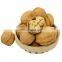 food flavor walnut plant walnut shell walnut kernels light quarters