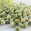 GMO free Wasabi coated green peas