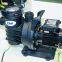 Pikes Swimming Pool 1 HP/ 2HP Single Speed Water Filtration Swimming Pool Pump Pool Waterfall Pump