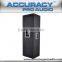 Chinese Manufacturer Professional Audio Video Speaker APA215L