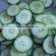 vegetable and fruit cutting machine (CE Approved)
