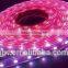 IP65 60LED/M New High quality LED