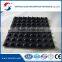 Water Drainage System Hdpe Dimple Drainage Sheet