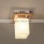 Fashion simple ceiling light