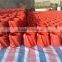 standard model 6-5/8"*8-3/4" Rigid Centralizer supplier