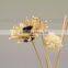 Personal Care Home fragrance reed diffuser flower reed diffuser