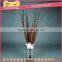 Mountain tail feathers funny cat stick