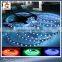 5M RGB Color 3528 SMD 300Leds Cheap LED Flexible Strip Light