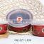 Hot Saling Bowl Ceramic With Silicone Lids to Keep Fresh