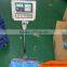 Factory Supply Waterproof Material Fabric Blue PE Tarpaulin