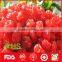 Dried Red Cherry Fruit for Wholesale