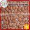 Import peanut kernel processing plant