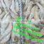 shellfish quick freezing freezer/shrimp quick freezer/seafood quick freezer