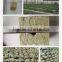 Hydroponics and Insulation Rockwool Cubes Wholesale