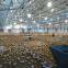 High Quality Low Price Industrial Steel Structure Chicken Coop