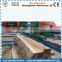 host-seling double saw blade angle sawmill for wenge