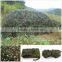 camouflage net woodland,woodland jungle green camo net,green color camo netting,multispectral camouflage net