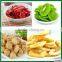 Hot! Professional Manufacture for mini vegetable dryer machine