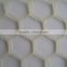 HDPE hexagonal plastic mesh for protection plant outdoor