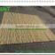 ZENT-139 Small bamboo poles fence