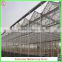China Venlo polycarbonate sheet greenhouse with vegetable seeds