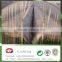 BSCI PASS -- [ Factory Supply ] S / SS Spunbond Agriculture nonwoven cover Fabric for ground cover / plant cover