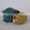 1/8" 1/4" Brass vertical steam boiler 110V 220V electric Valve ZCQ-20B-29