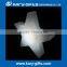 CE ROHS Waterproof Remote Led Star Light Led Xmas Light Xmas Decorated Star