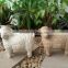 Garden sheep ornaments animal statues for DIY design